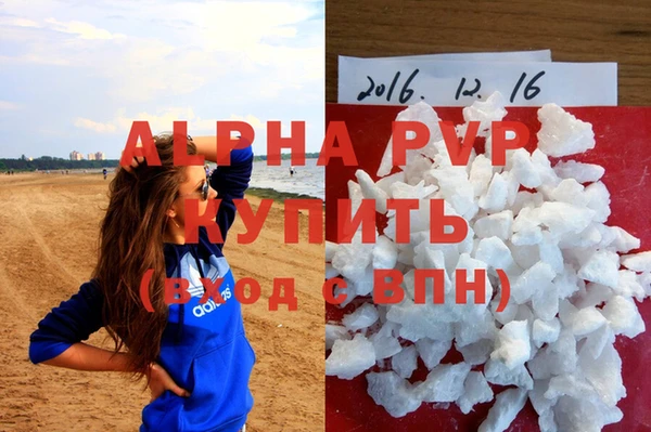 тгк Новокубанск