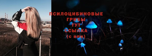 тгк Новокубанск