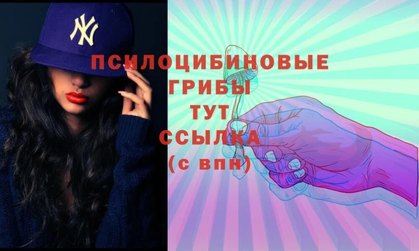 метадон Новодвинск