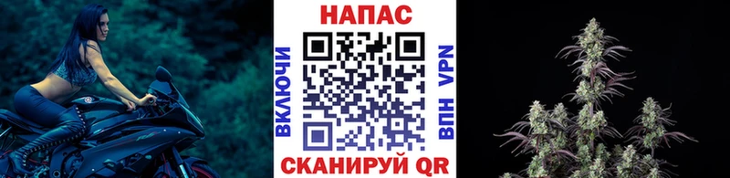 Купить где  Соль-Илецк  Каннабис индика 